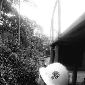 Meet your Posher, Shea